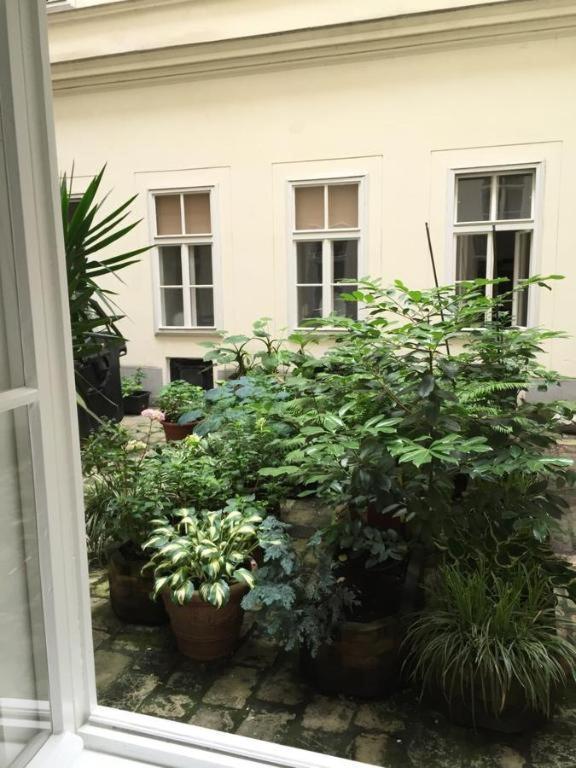 City Apartment Vienna Esterno foto